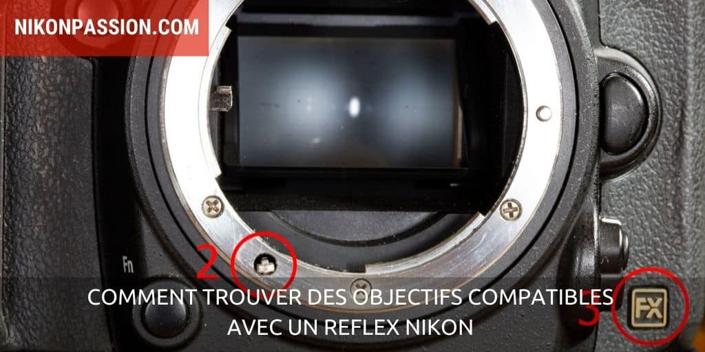 objectifs compatibles avec un reflex Nikon