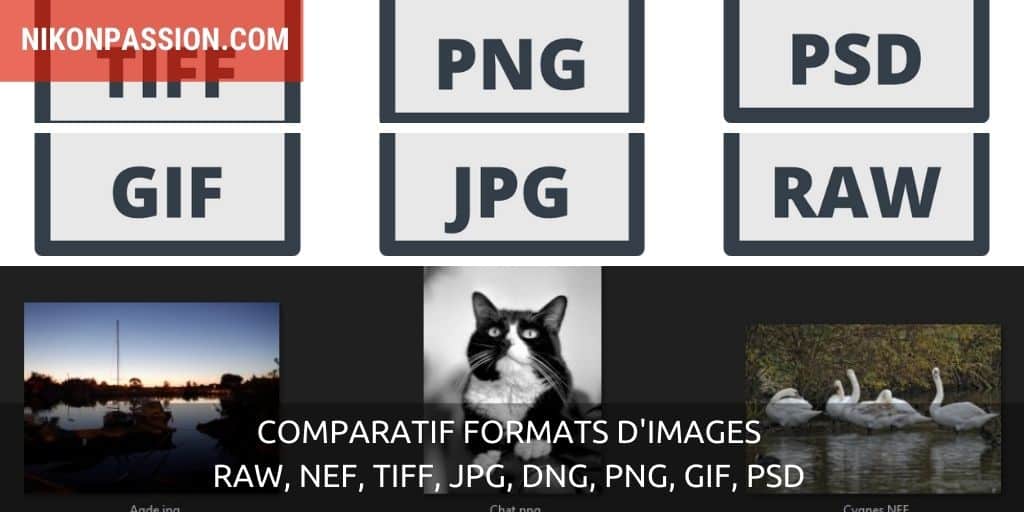 Comparatif formats d'images : RAW, NEF, TIFF, JPG, DNG, PNG, GIF, PSD