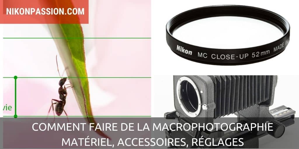 Comment faire de la macrophotographie, matériel, accessoires, réglages