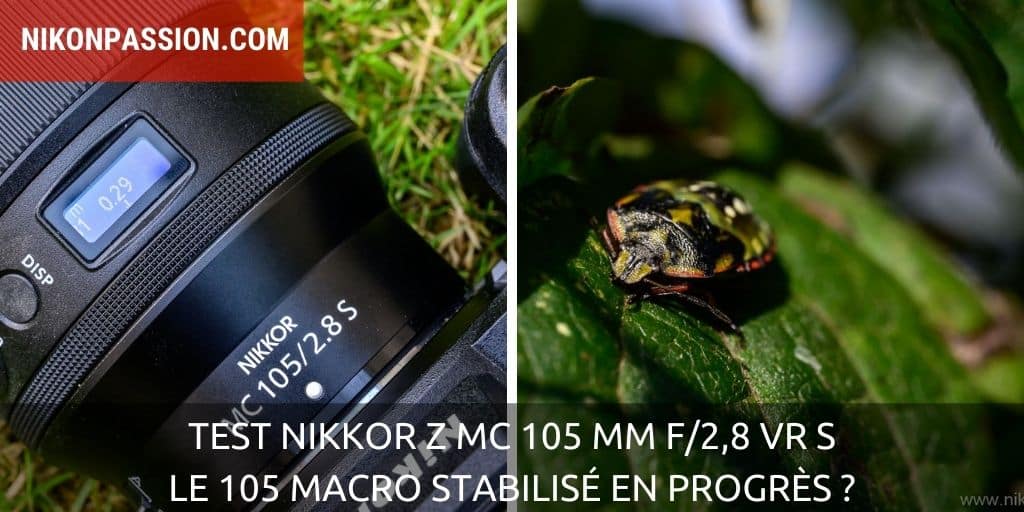 Test NIKKOR Z MC 105 mm f/2,8 VR S : le 105 Macro stabilisé en progrès ?