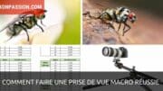 Comment faire une photo macro réussie, le guide pratique