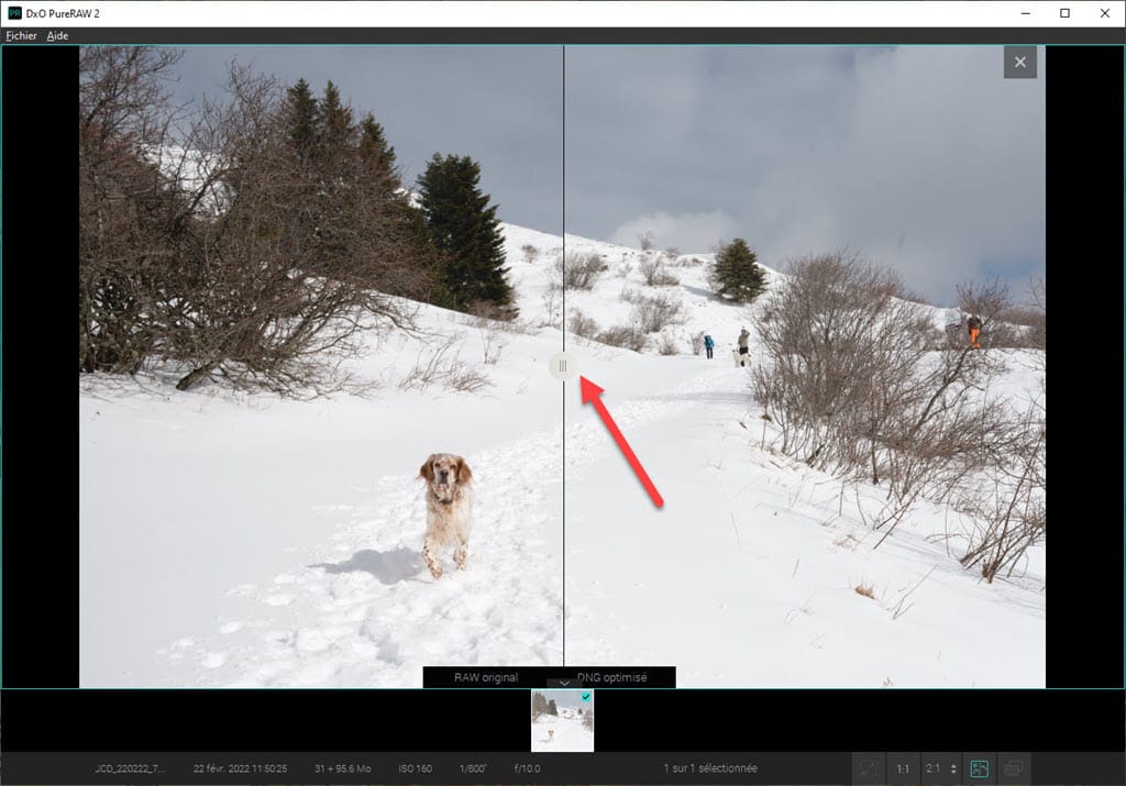 Comparaison DxO PureRAW avant après
