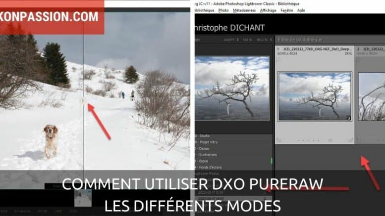 Comment utiliser DxO PureRAW avec ou sans Lightroom Classic