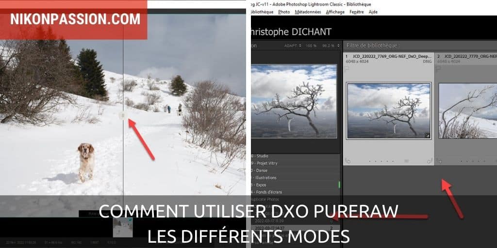 Comment utiliser DxO PureRAW avec ou sans Lightroom Classic