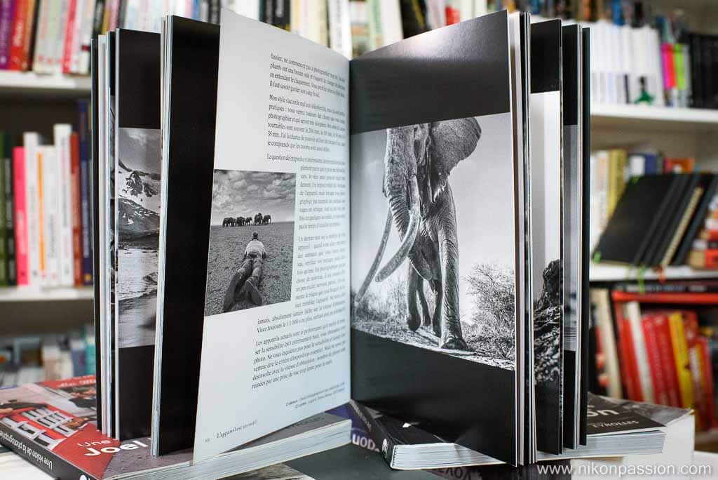 David Yarrow, une vision de la photographie par le Maître de la photographie naturaliste en noir et blanc