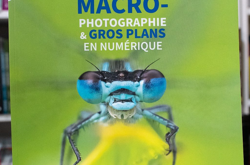 Comment faire de belles photos de macro-photographie ? Matériel, réglages, conseils et exemples