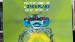 Comment faire de belles photos de macro-photographie ? Matériel, réglages, conseils et exemples