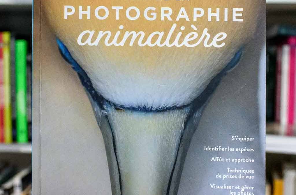 Photographie animalière, réglages, matériel, technique