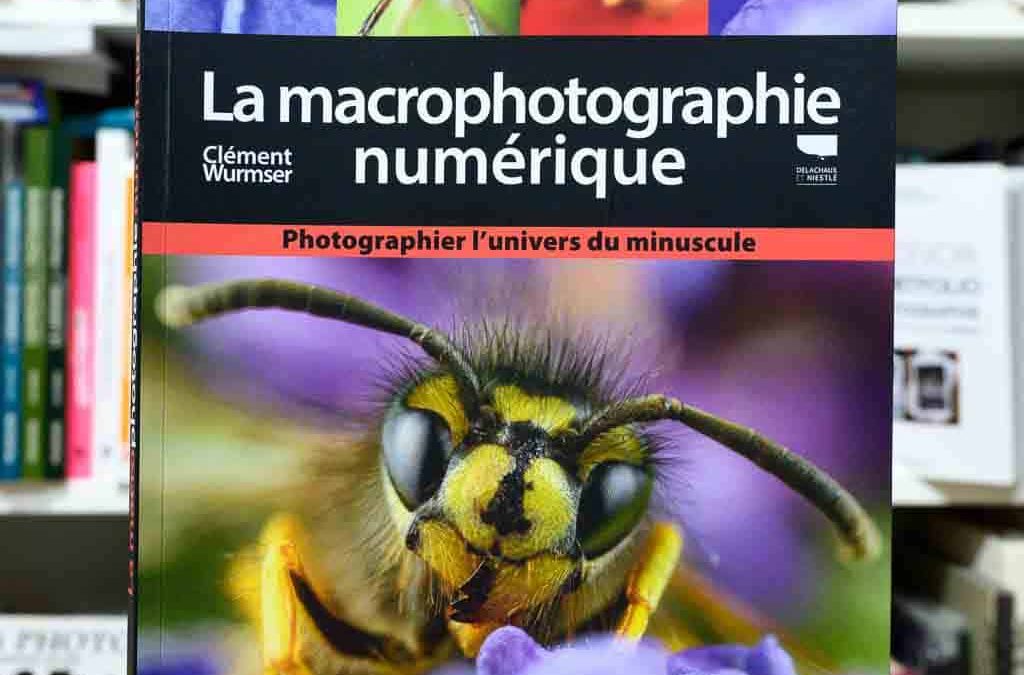 La macrophotographie numérique, comment photographier le minuscule