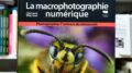 La macrophotographie numérique, comment photographier le minuscule