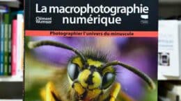 La macrophotographie numérique, comment photographier le minuscule