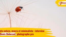 Photo nature macro minimaliste Denis Dubesset