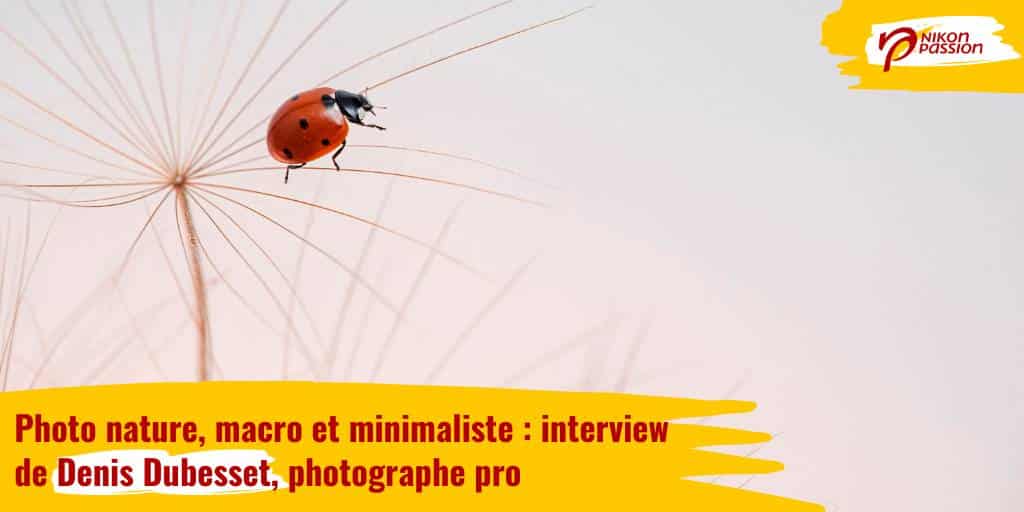Photo nature, macro et minimaliste : interview de Denis Dubesset, photographe pro