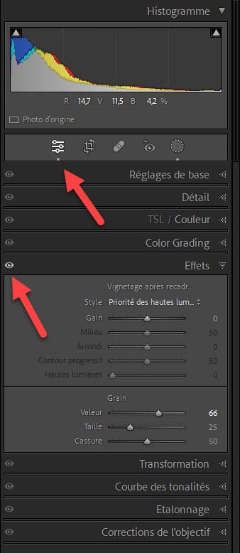 Lightroom Classic 12.3 : repères visuels de traitements effectués