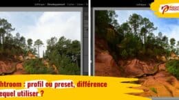 Lightroom : profil ou preset, lequel utiliser ?