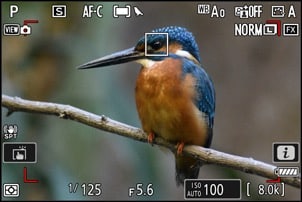 Nikon Z 8 : Autofocus mode oiseaux