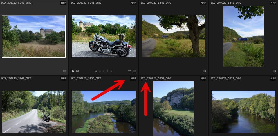 Mise à jour Lightroom Affichage des noms de fichiers dans les vignettes
