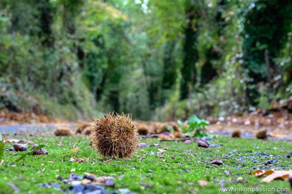 Pourquoi connaître les données EXIF d’une photo ne vous rend pas meilleur photographe ?