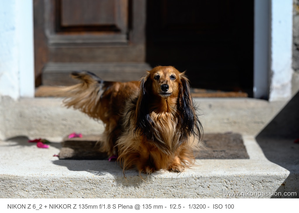 Test NIKKOR Z 135 mm f/1.8 S Plena