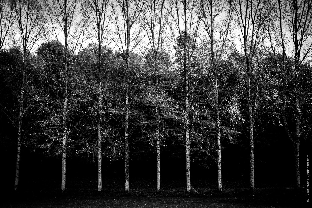 Couleur vs noir et blanc - photo Jean-Christophe Dichant