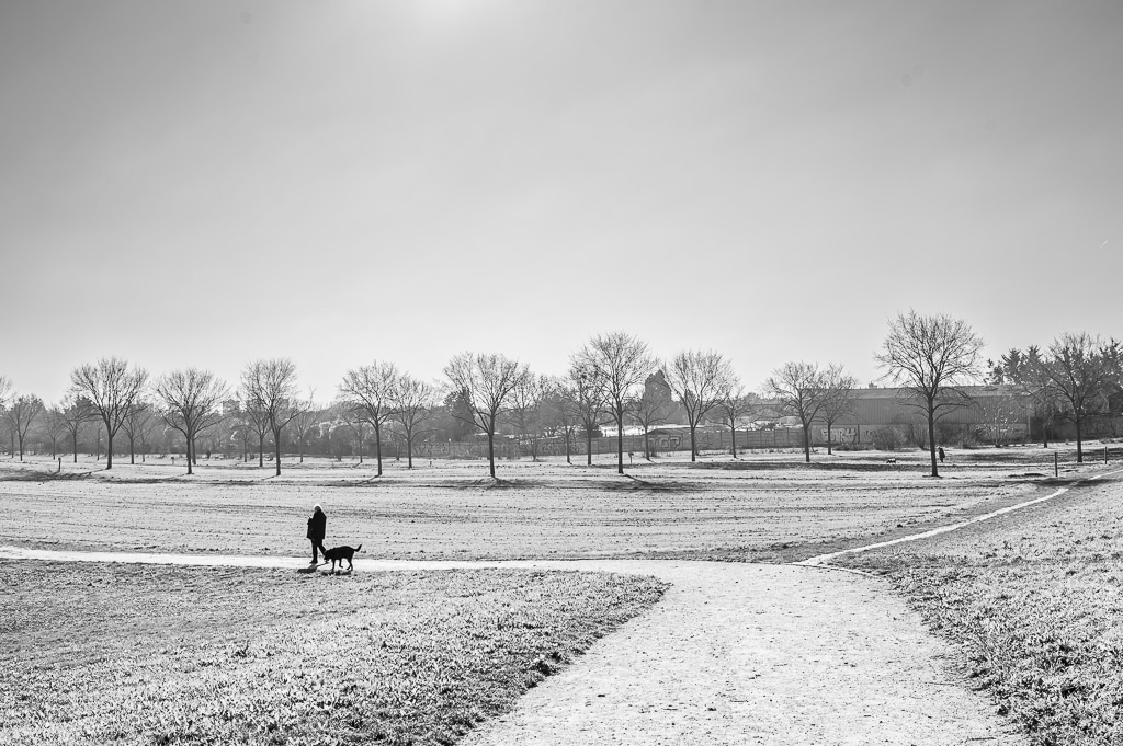 Couleur vs noir et blanc - photo Jean-Christophe Dichant