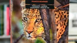 Les secrets de la photo de safari : erreurs à éviter et bonnes pratiques par Francis Lombard