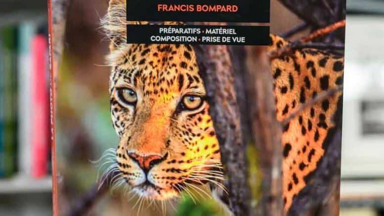 Les secrets de la photo de safari : erreurs à éviter et bonnes pratiques par Francis Lombard