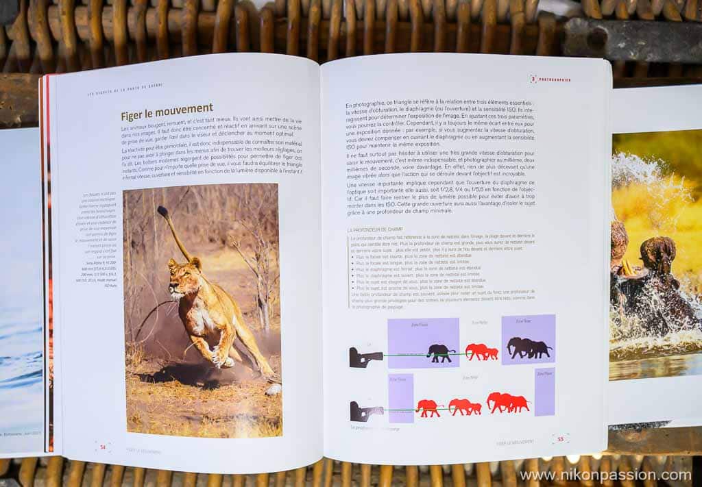 Les secrets de la photo de safari : erreurs à éviter et bonnes pratiques par Francis Lombard