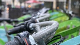 Test du Nikon Z50II - exemple de photo