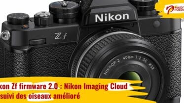 Nikon Zf firmware 2.0 : Nikon Imaging Cloud et suivi des oiseaux amélioré