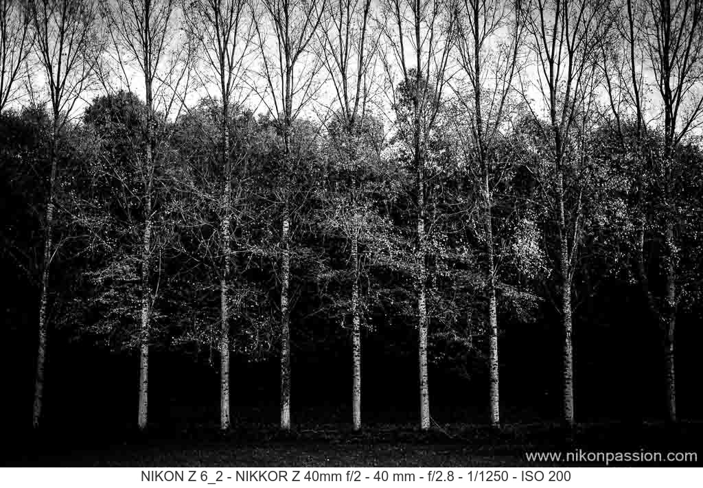Comment faire du noir et blanc avec un hybride Nikon Z ?