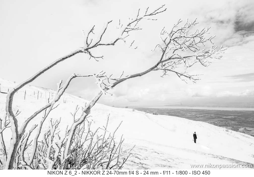 Comment faire du noir et blanc avec un hybride Nikon Z ?