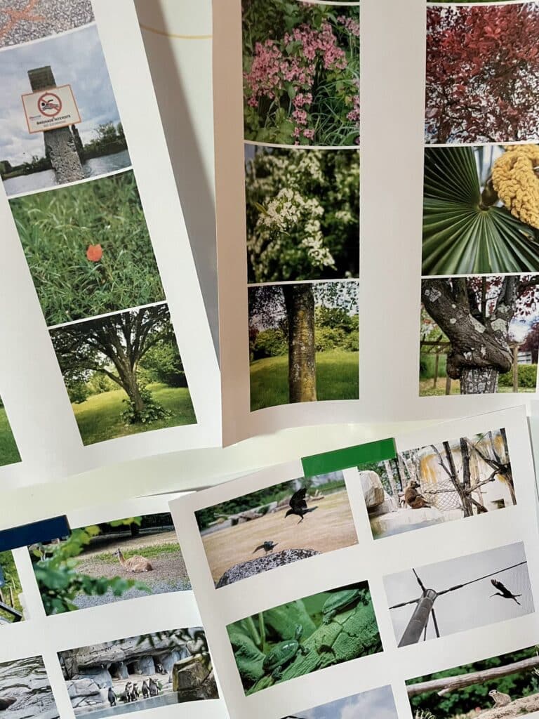 Ensemble de photos imprimées sous forme de planche, album pour matérialiser la création de trois mini projets photo