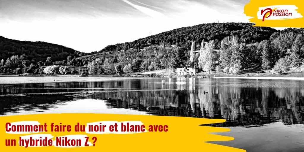 Comment faire du noir et blanc avec un hybride Nikon Z ?