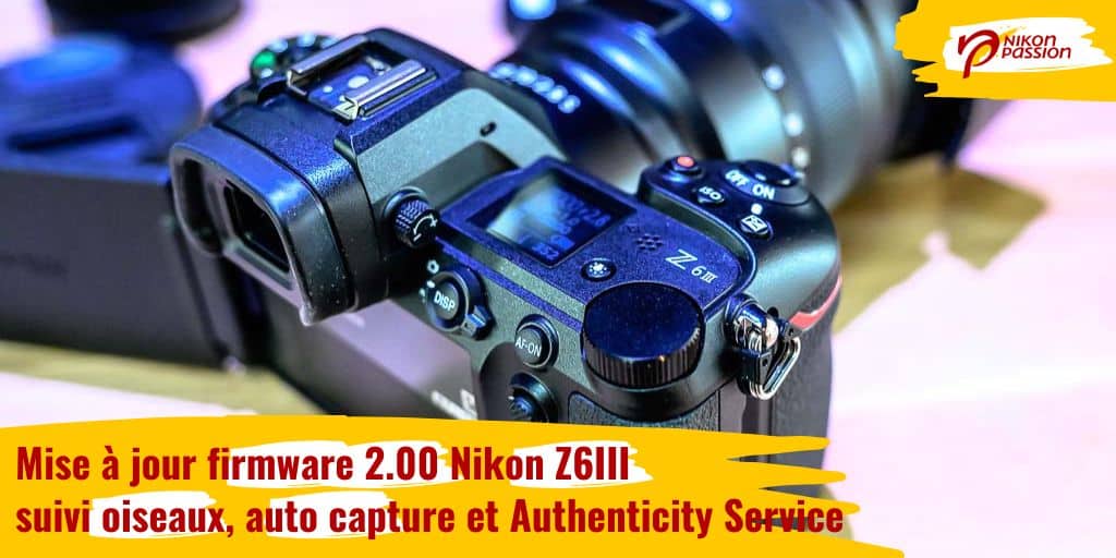 Mise à jour du firmware 2.00 du Nikon Z6III : suivi oiseaux, auto capture et Authenticity Service