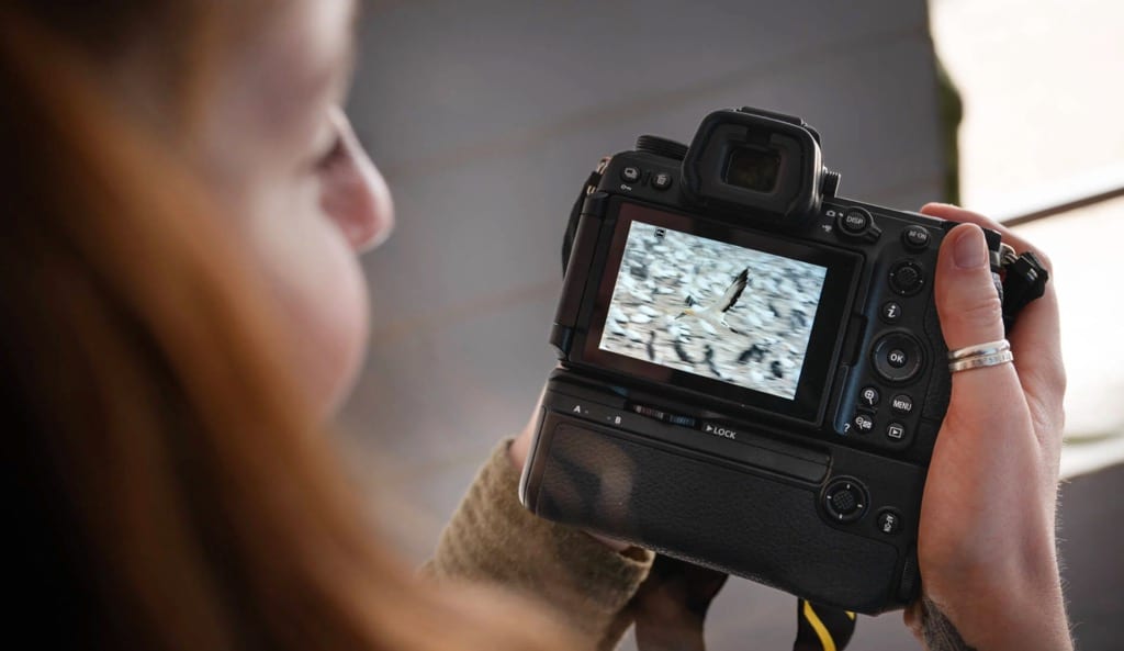 Mise à jour du firmware 2.00 du Nikon Z6III : suivi oiseaux, auto capture et Authenticity Service