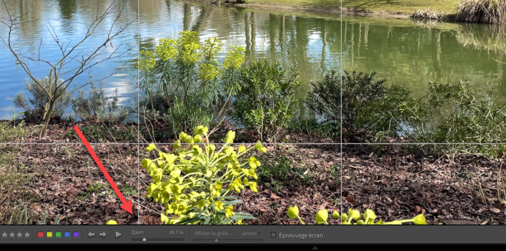 Lightroom Classic - zoom en recadrage