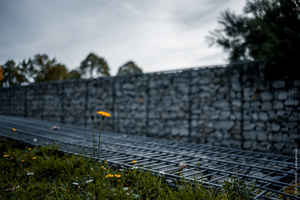 Quand le ciel gris est l'ami des photographes