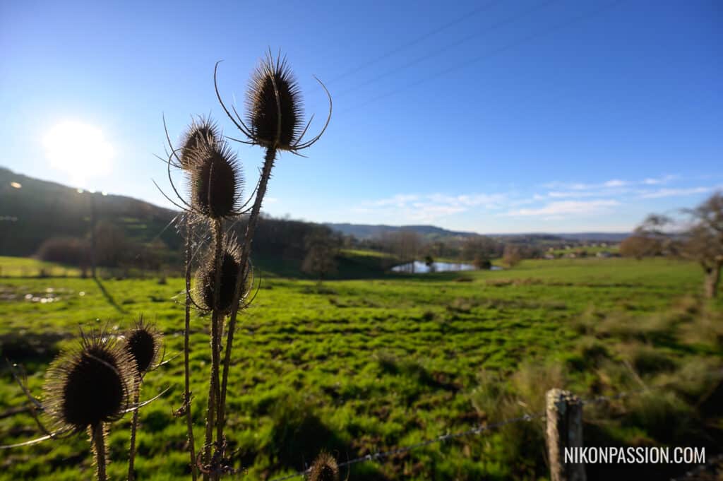 Les premiers jours de l'hiver sont là, la campagne en hiver avec le NIKKOR Z 14-30 mm f/4 S