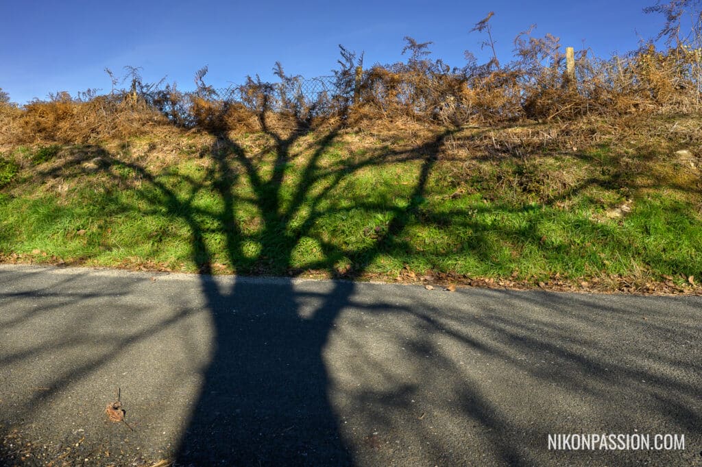 Les premiers jours de l'hiver sont là, la campagne en hiver avec le NIKKOR Z 14-30 mm f/4 S