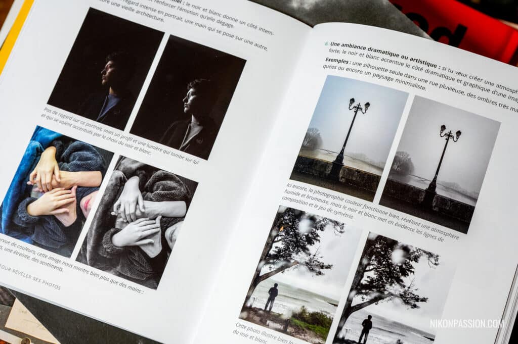 La retouche pour révéler ses photos, d'Agnès Colombo : d'une photo smartphone brute à une image attirante