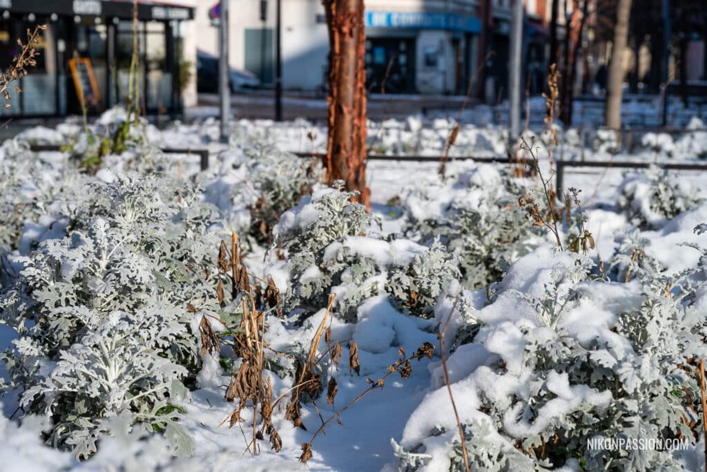 Photographier la neige en ville : ma méthode simple et efficace