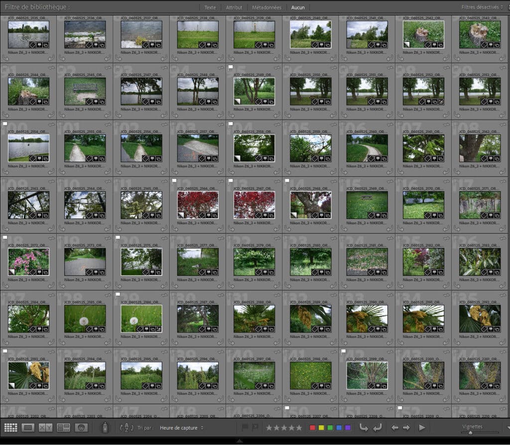 Progresser en photo avec le principe du Mini Projet Photo tel que je l'apprends à mes élèves