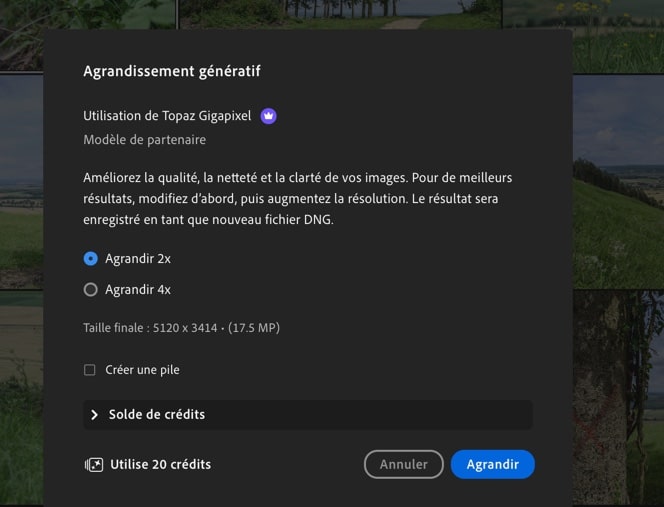 Agrandissement génératif avec Topaz Gigapixel