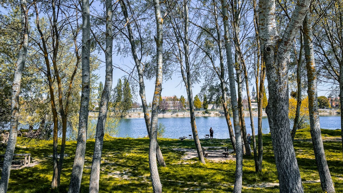 Bords de Seine à Vitry-sur-Seine, fleuve et arbres
