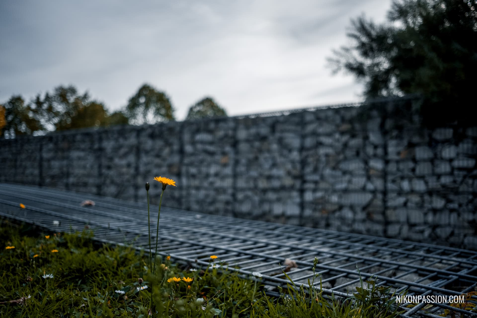 Comment changer le cadrage d'une photo sans changer d'objectif