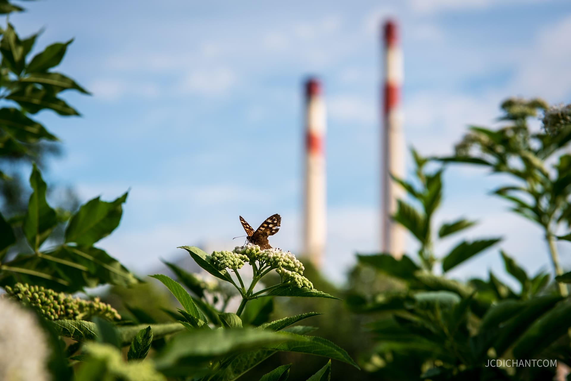 Un papillon humanise l’espace industriel urbain et les cheminées de Vitry-sur-Seine