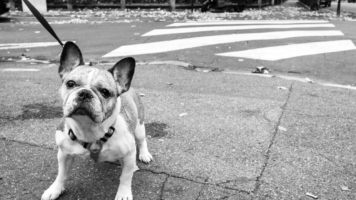 Comment ne pas avoir peur de faire des photos dans la rue - photo (©) JC Dichant
