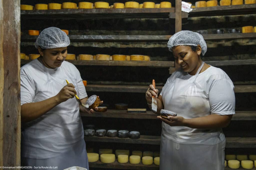 Sur la Route du Lait avec Colette Dahan et Emmanuel Mingasson - Soins en cave à la fromagerie Serro Balsamo dans l'Etat de Goiás, novembre 2023