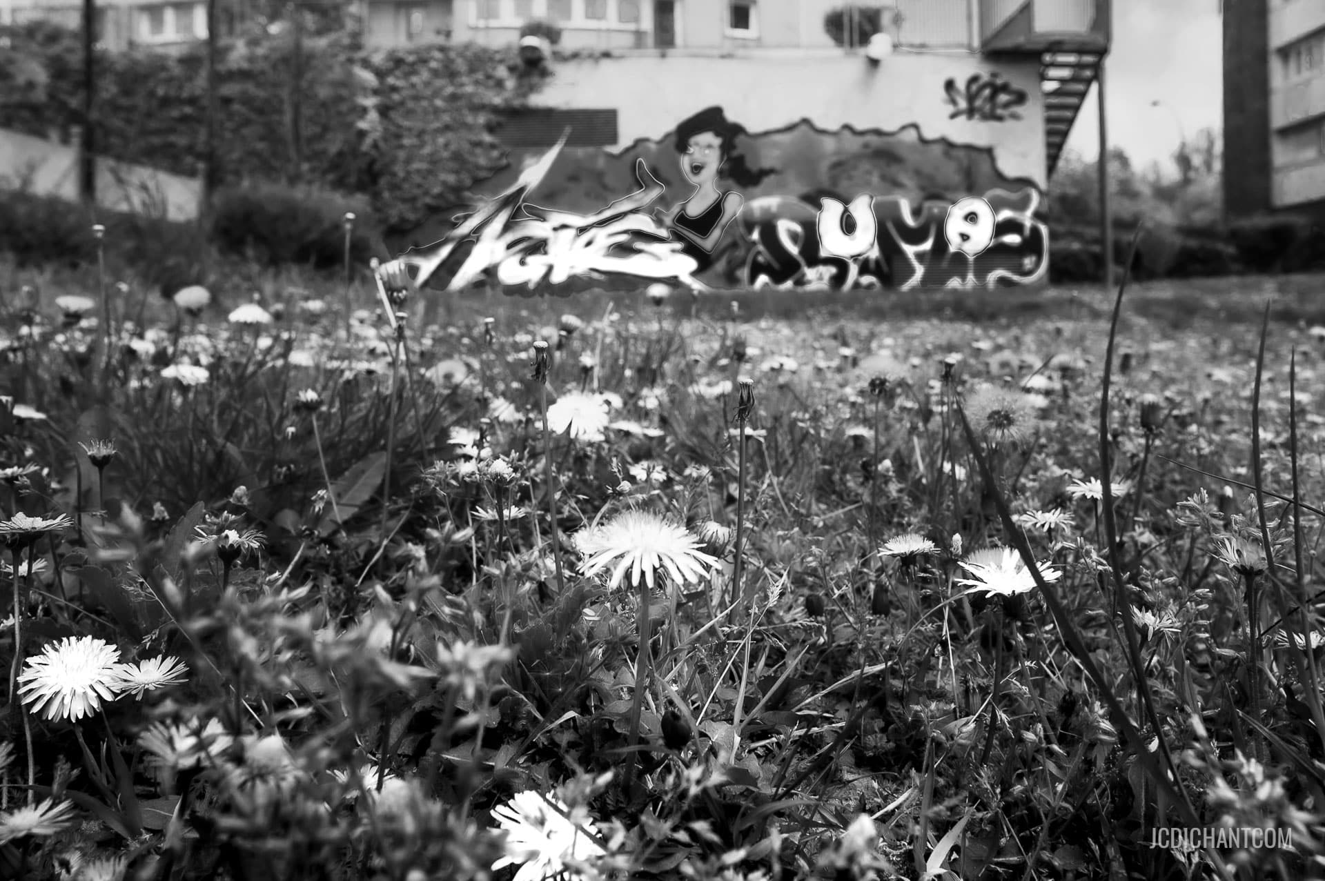 Paysage urbain à Vitry-sur-Seine en noir et blanc - photo (©) JC Dichant